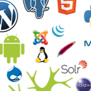 Pour une contribution des acteurs publics aux logiciels libres