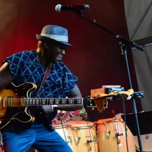 Wolfi Jazz : un bilan mitigé et des interrogations