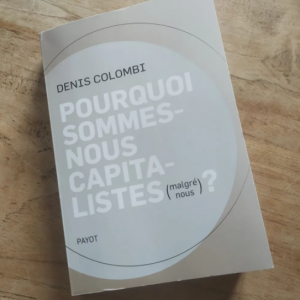 De l’encastrement de la société dans l’économie
