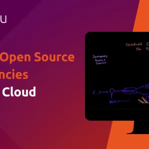 Securing open source software dependencies in the public cloud