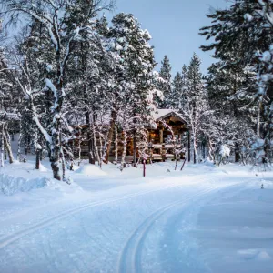 We wish you RISC-V holidays!