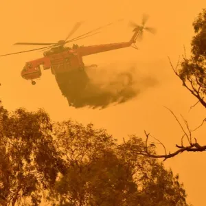 Feux et sécheresses : quand les savoirs indigènes offrent des solutions concrètes