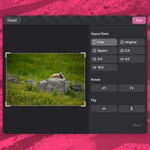 GNOME’s New Image Viewer Adds Image Editing Features