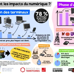 Illustrations pour médiation numérique | Grise Bouille