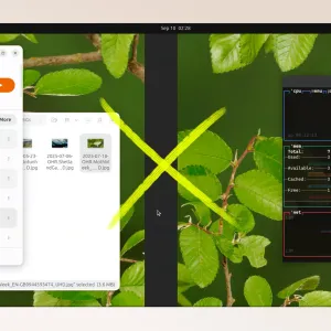 Stop Wallpaper Moving When You Switch Workspace in GNOME