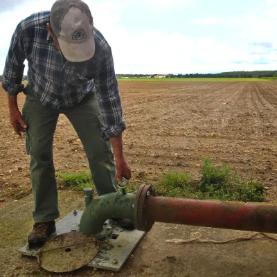 « Allons-nous tenir ? » : les fortes chaleurs bouleversent l’agriculture alsacienne