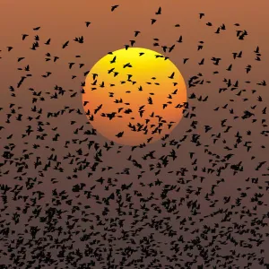 Live regions ARIA : bonnes et mauvaises pratiques