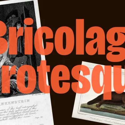 GitHub - ateliertriay/bricolage: Bricolage Grotesque is an expressive variable font with weight, width and optical size axis