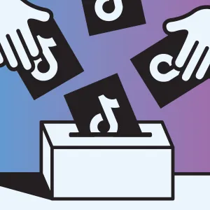 Exploring the aftermath of the annulment of Romanian election results – social media platforms, the democratic process, and the role of the DSA