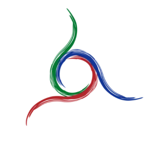 Élection du conseil international de l’AIERI - Centre Internet et Société