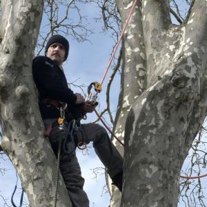 Sur son arbre perché, Thomas Brail se bat contre l'autoroute Toulouse-Castres