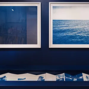 Expo : « Voir la mer » comme on ne l’a jamais vue