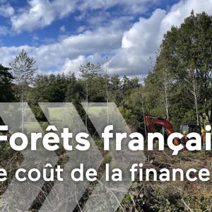 Forêts françaises, en quête d'avenir