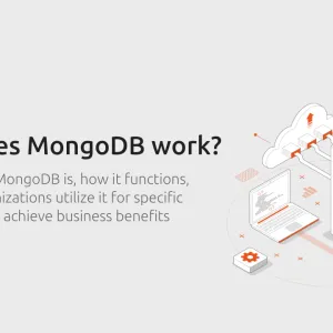 How does MongoDB work?