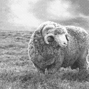 Isolation: d’abord le corps puis la maison