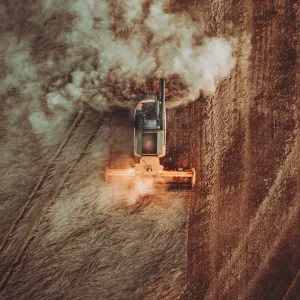 Face au pétromasculinisme, une paysannerie écoféministe