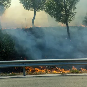 Départ en vacances : "Près d’un fumeur sur 5 jette encore ses mégots par la fenêtre de sa voiture", déplore Vinci Autoroutes