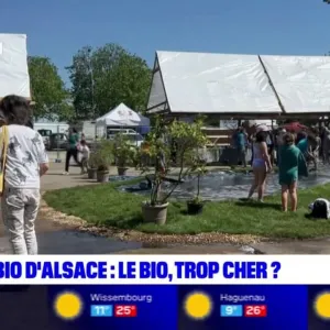 Foire éco bio d’Alsace: la nourriture biologique est-elle trop chère ?