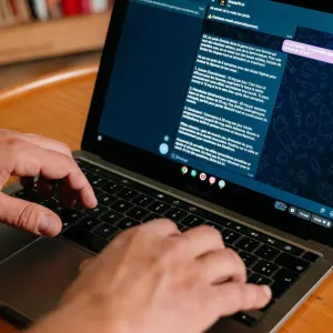 Jeune ch. plan muscu