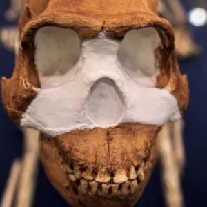 Le plus ancien site funéraire connu au monde n’a pas été créé par notre espèce