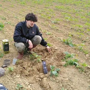 Sans labour, ces agriculteurs décompactent et soignent le sol grâce aux bactéries