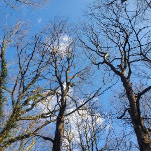 Berlin, March 2023 : Diary of the first ECHO Network study visit