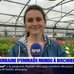 Emmaüs ouvre une ferme urbain à Bischheim