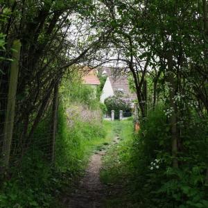 Meurtres de petites filles en 1987 : le pôle « cold cases » cherche la lumière