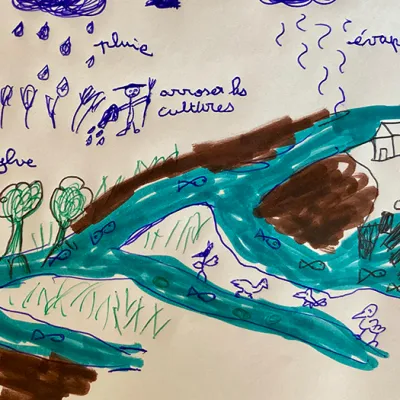 Une année au fil de l’eau : les zones humides