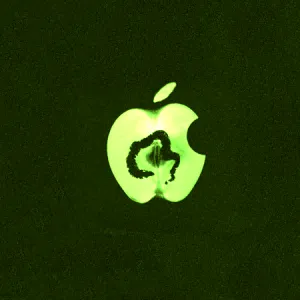 Interopérabilité : la FSF Europe défend le DMA contre Apple devant la Cour de justice de l’UE