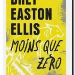 Suite de la lecture de : Moins que zéro, de Bret Easton Ellis