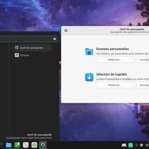 Sauvegarder ses données sous Linux (Mint et autres)