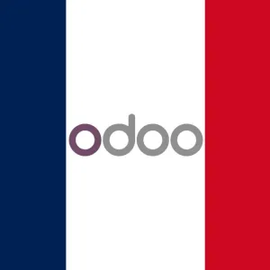 ALERTE : Odoo ouvre son bureau France à Lyon en 2026