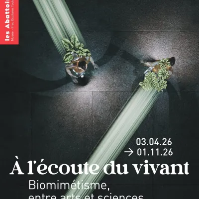 A la découverte du biomimétisme, à Toulouse