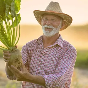 Blé et betteraves : 10 ans d’expérimentation réussie en “zéro pesticide”