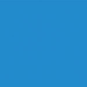 Règles de féminisation