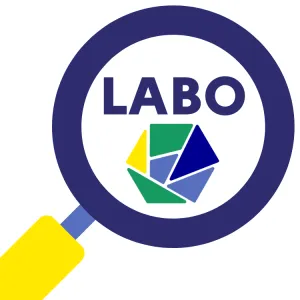 #1 - Eclairage théorique : Le groupement d’Intérêt Public (GIP) comme structure juridique pour les communs numériques ?
    
    
      
      - Labo