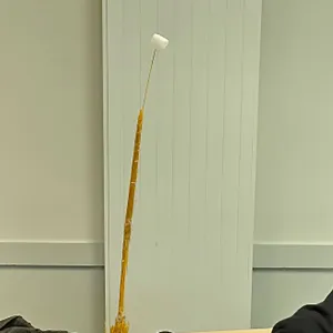 Les 3 objectifs d’un défi chamallow en classe