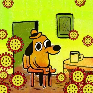 65 MILLIONS DE COVID LONG ET ÇA CONTINUE : un aperçu de la recherche COVID après 4 ans et demi de pandémie