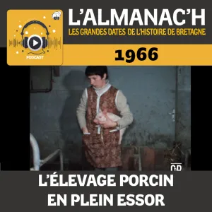 Le rôle méconnu des femmes dans l'essor des porcheries en 1966