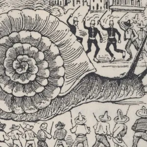 La sagesse de l’escargot : une invitation à ralentir et à respecter les limites de la planète ?