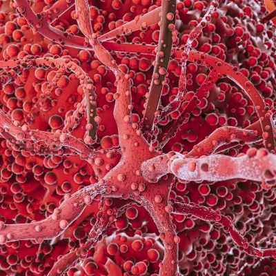 Exosome, gliotransmetteur et microtrame
