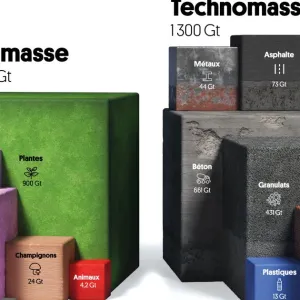 Les matériaux produits par l’homme pèsent plus lourd que l’ensemble du monde vivant