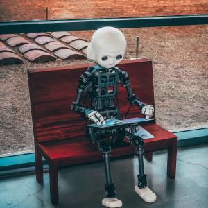Robotique développementale, ou l’étude du développement des connaissances dans une Intelligence Artificielle