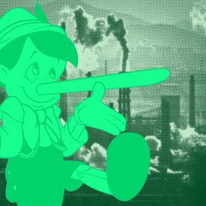 Une forêt menacée par une multinationale d’engins agricoles. Alsace Nature n’est pas contente