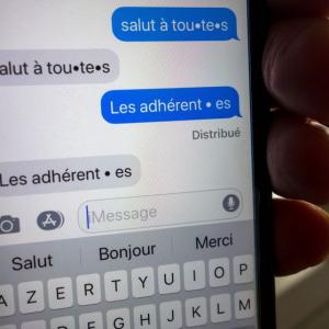 "La France a une longue histoire de politisation des questions linguistiques"