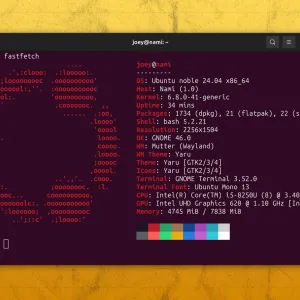 Fastfetch is the Perfect Replacement for Neofetch