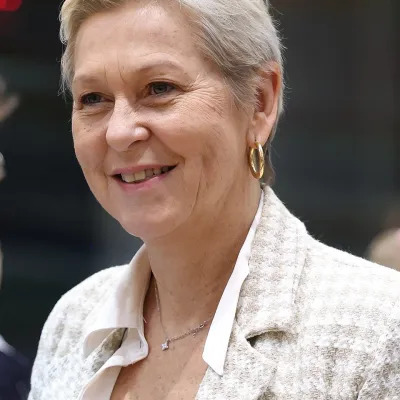 Anne Le Hénanff — Wikipédia