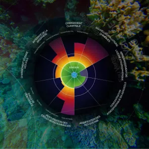 La 7e limite planétaire est officiellement dépassée : l’acidification des océans