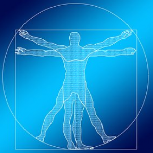 Pédagogie inversée, hybridation et digitalisation de la formation